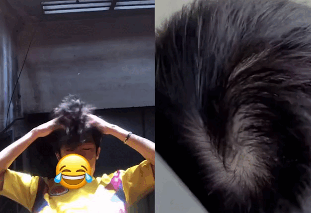 gif-111-sua-1-20210915083049-01092022053416