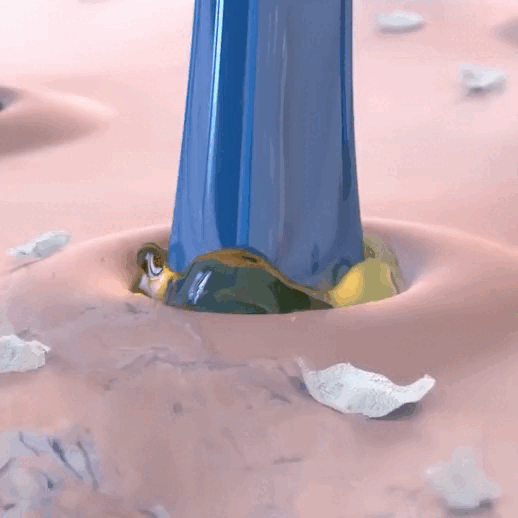 gif-13-20210914074559-01092022054716