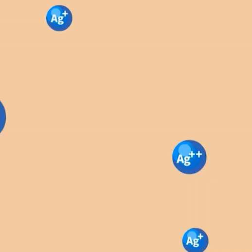 gif-16-20210914074559-01092022054934