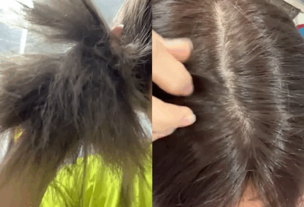 gif-3-19-20210914060419-01092022053852