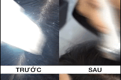 gif-8-20210717103308-01092022052449 gif1