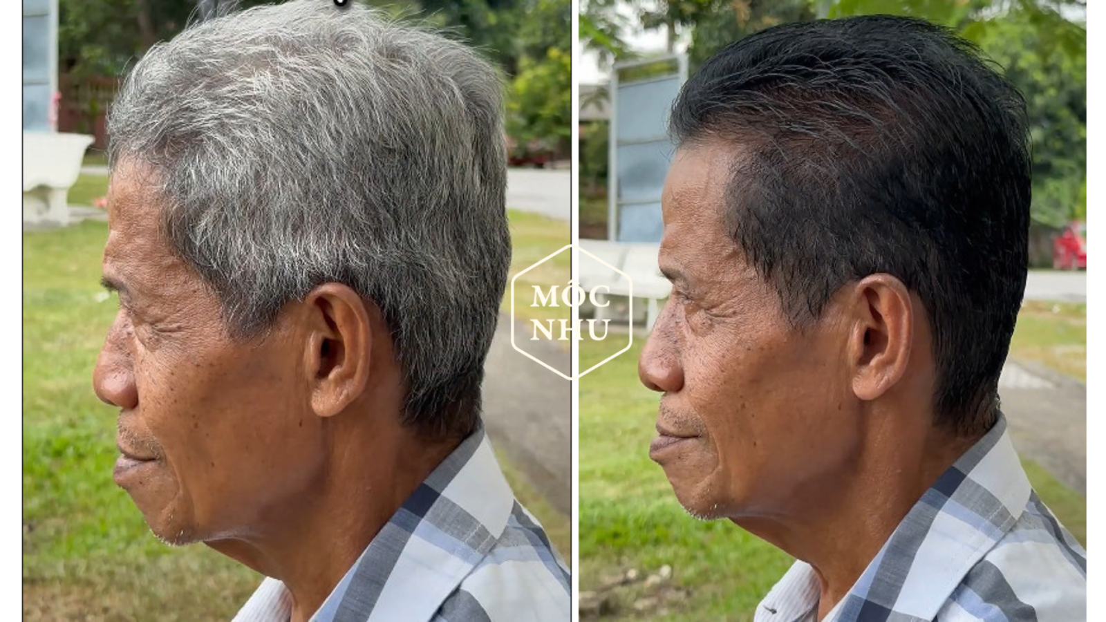 hac_nhan_sam_moc_nhu-27092023093206