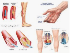 Sự lưu thông khí huyết từ bàn chân đóng vai trò quan trọng trong việc nuôi dưỡng nang tóc