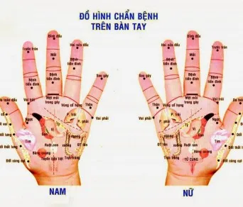 Sử dụng phần thịt đầu ngón tay để thực hiện các chuyển động tròn nhịp nhàng
