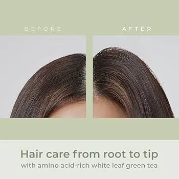 Trà xanh là nguồn dưỡng chất quý giá giúp bảo vệ và chống oxy hóa tế bào tóc từ sâu bên trong