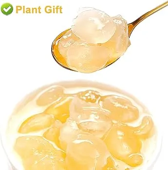 Hoạt chất Saponin trong bồ kết giúp làm sạch da đầu nhẹ nhàng mà không gây kích ứng