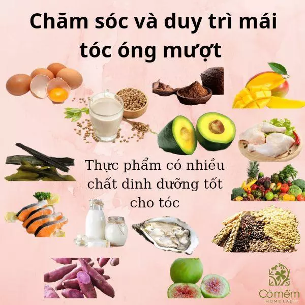 Dinh dưỡng đóng vai trò then chốt trong việc điều tiết hoạt động của tuyến bã nhờn