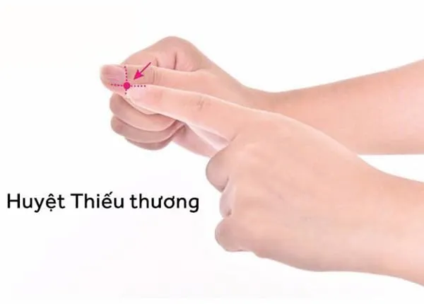 Vị trí huyệt Phong trì nằm ở điểm lõm giữa cơ thang và cơ ức đòn chũm