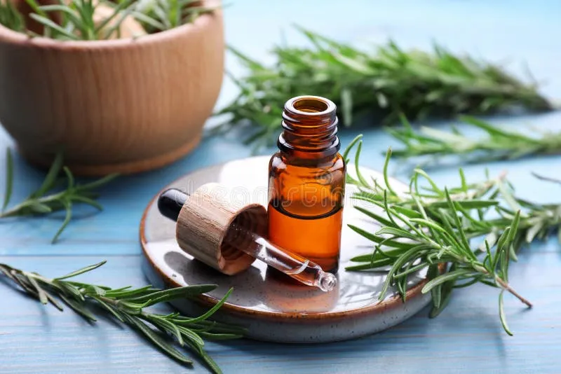 Hương thảo là dược liệu tự nhiên tuyệt vời giúp kích thích mọc tóc và nuôi dưỡng da đầu