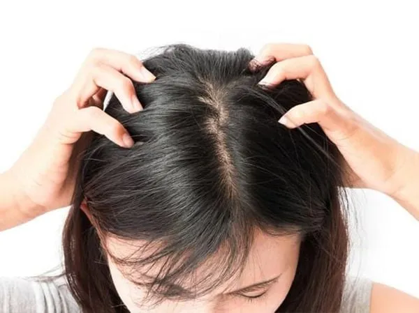 Mặt nạ nước ép cần tây giúp nuôi dưỡng tóc trực tiếp từ bên ngoài