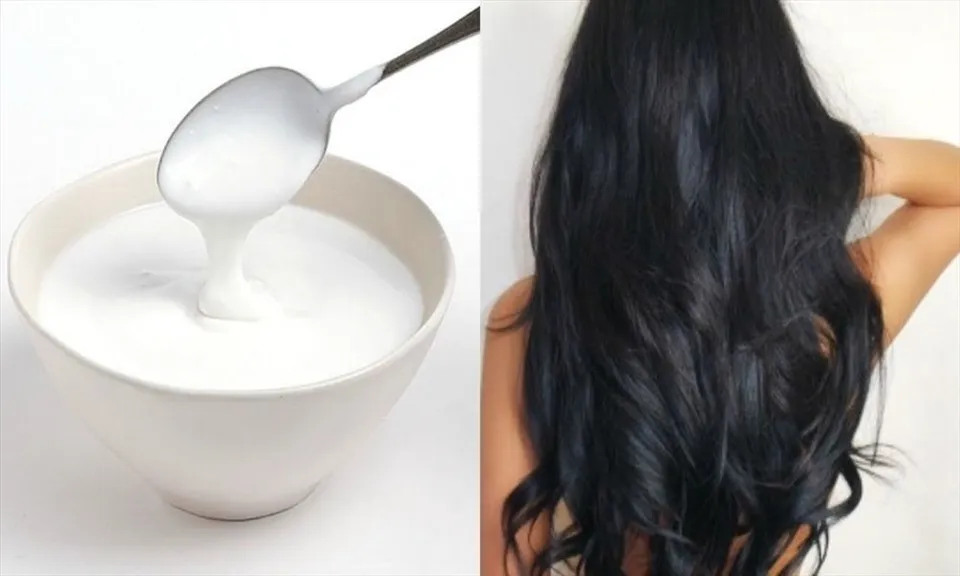 Sữa chua không đường chứa hàm lượng protein và vitamin dồi dào giúp phục hồi cấu trúc tóc