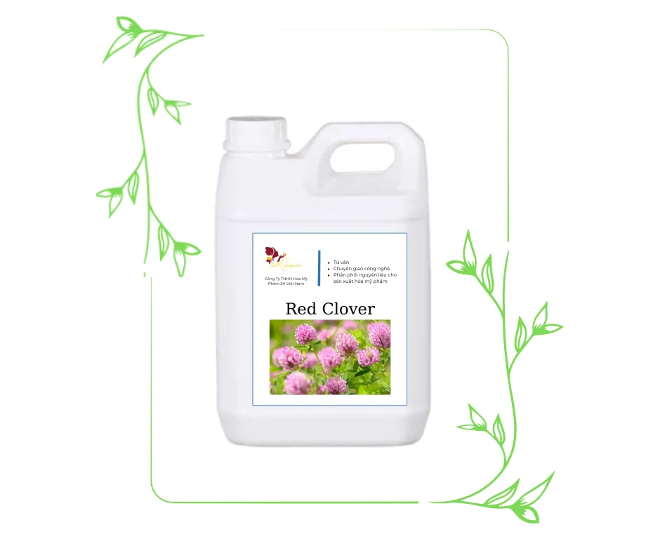 Chiết xuất Cỏ ba lá đỏ chứa Biochanin A giúp ức chế enzyme 5alpha reductase