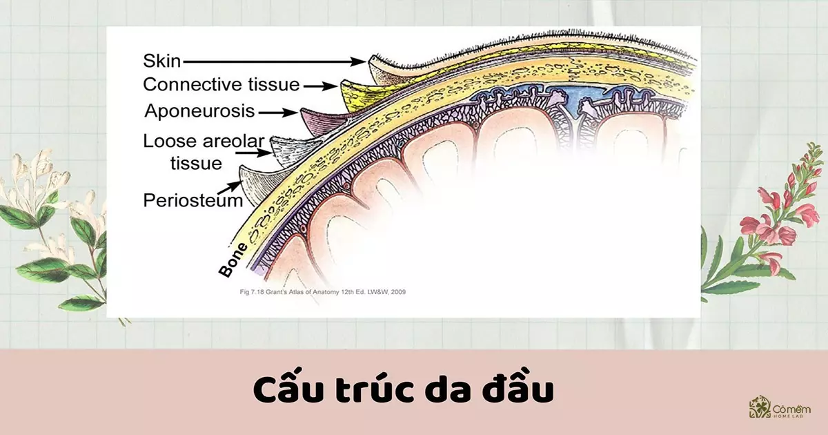 Cơ chế viêm da tiếp xúc xảy ra khi hệ miễn dịch phản ứng quá mức với các phân tử hương liệu