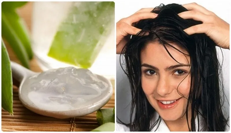 Nha đam là phương pháp tự nhiên hiệu quả để làm dịu da đầu bị kích ứng
