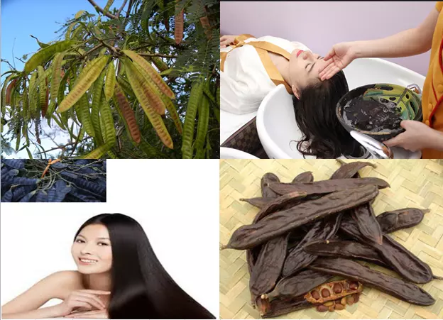 Quy trình gội đầu đúng cách giúp bảo vệ mắt bé và tối ưu hiệu quả của bồ kết
