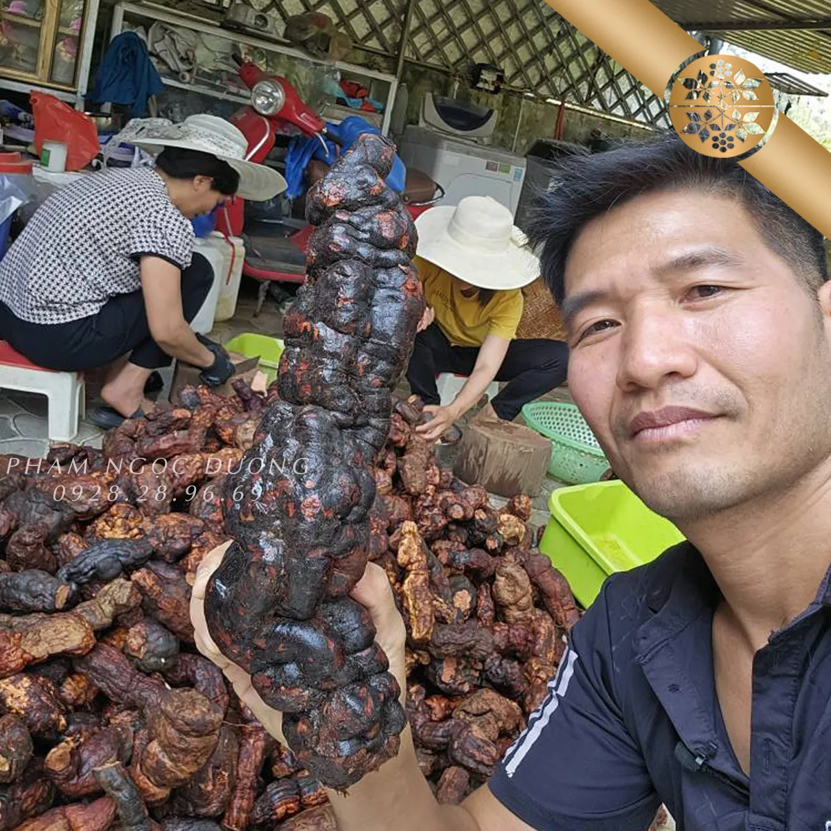 ha-thu-o-1 Quy trình cửu chưng cửu sái cầu kỳ để tạo ra vị thuốc chất lượng