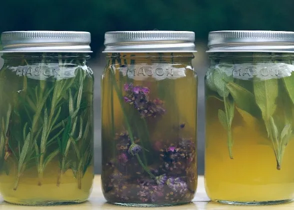 herbal-hair-rinse-blog-2 Bảo quản nước sả đúng cách giúp duy trì hiệu quả kháng khuẩn tối ưu