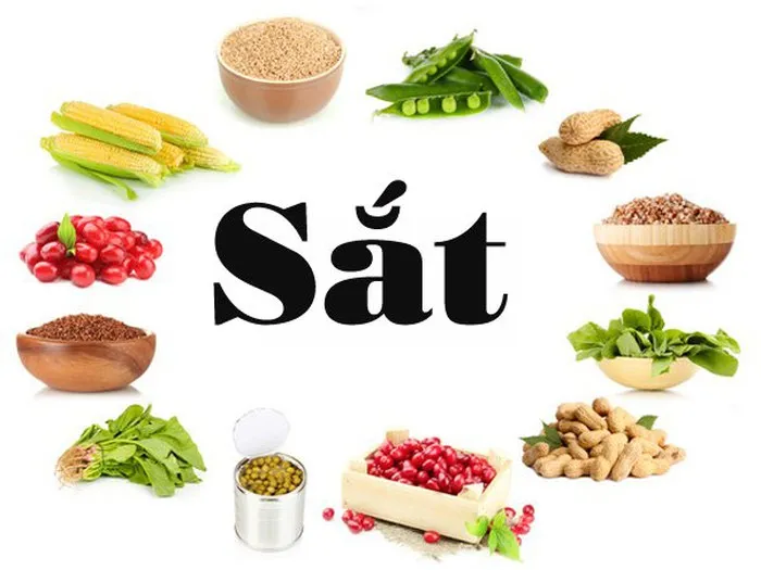 Chế độ ăn đa dạng các nguồn sắt giúp hỗ trợ điều trị rụng tóc hiệu quả