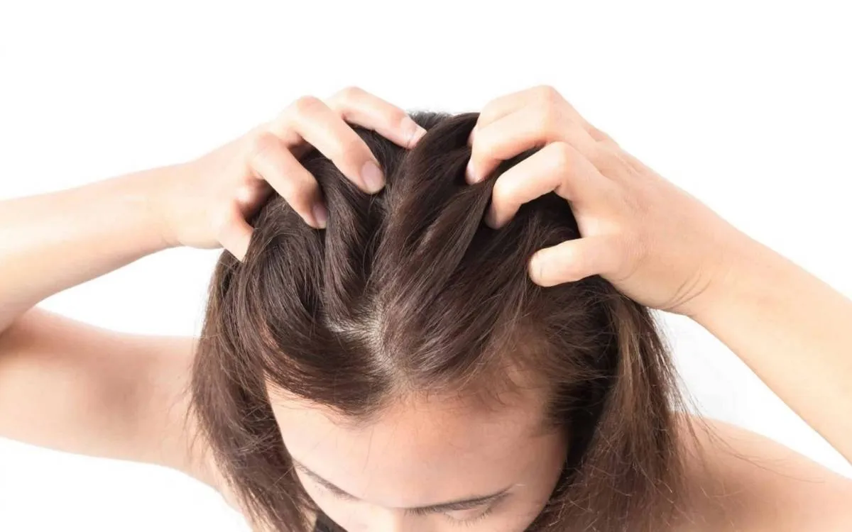 massage-da-dau-dem-lai-nhieu-loi-ich-khong-ngo-17600792014661518982518 Tuần hoàn máu tốt là yếu tố tiên quyết để dưỡng chất trong hắc nhân sâm phát huy tác dụng