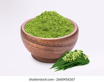Đắp trực tiếp lá Neem giúp tập trung hoạt chất tiêu diệt nấm tại chỗ