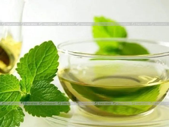 Quy trình nấu nước lá kinh giới cần đảm bảo giữ lại được lượng tinh dầu tối đa