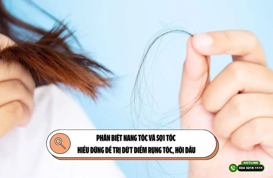 Sự khác biệt rõ rệt giữa cấu trúc tóc được dưỡng ẩm tốt và tóc bị mất nước do cồn khô