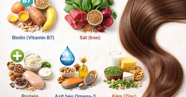 Chế độ dinh dưỡng giàu vi chất là chìa khóa để phục hồi nang lông từ bên trong