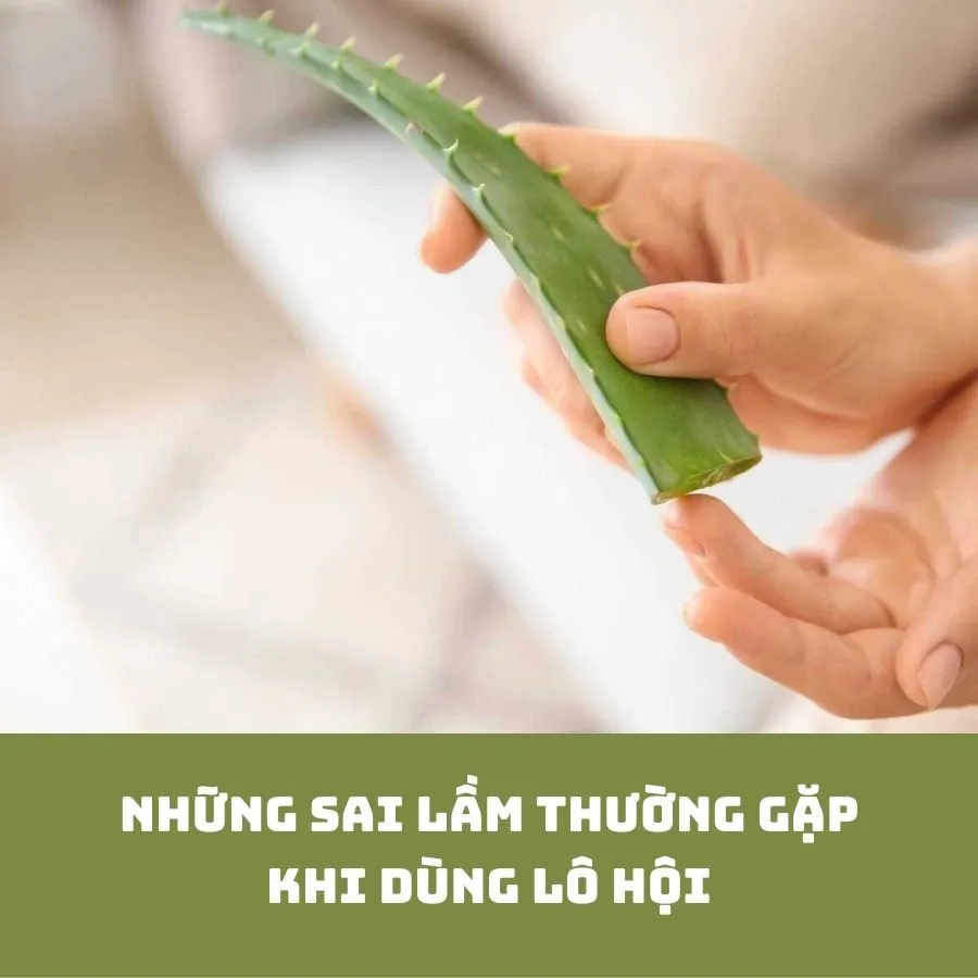 Thoa gel lô hội đúng cách giúp giảm nhanh tình trạng mẩn đỏ và ngứa ngáy