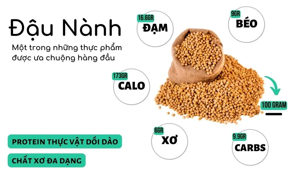 Hạt đậu nành chứa hàm lượng lớn Isoflavone và protein thiết yếu cho sức khỏe mái tóc