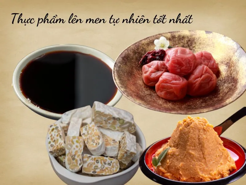 Nguồn nguyên liệu tự nhiên dồi dào dưỡng chất sau khi được lên men