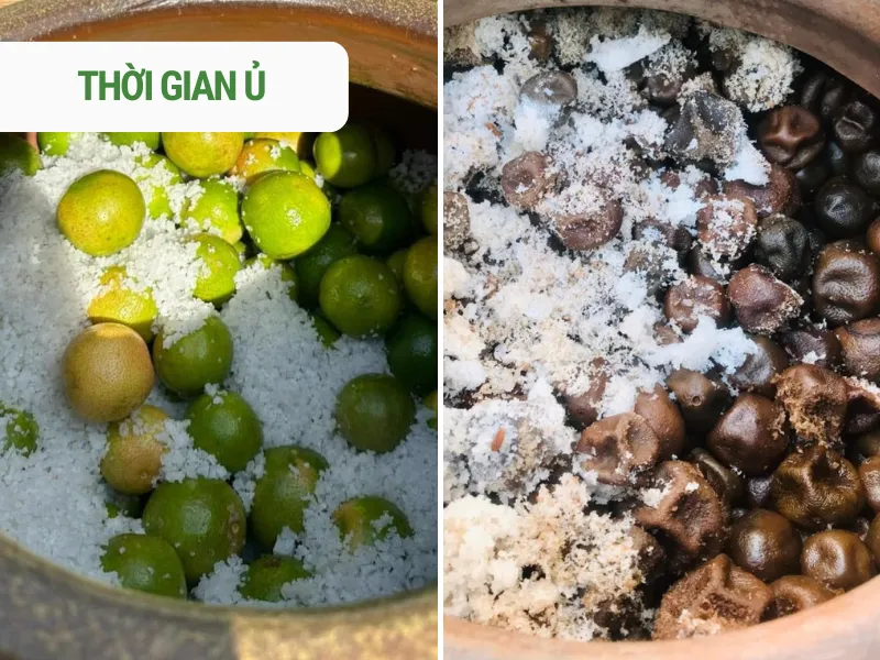 tienkhang-com-chanh-muoi-thuc-duong206 Sự kết hợp giữa trà xanh và chanh tươi giúp kiểm soát dầu thừa và thanh lọc da đầu hiệu quả