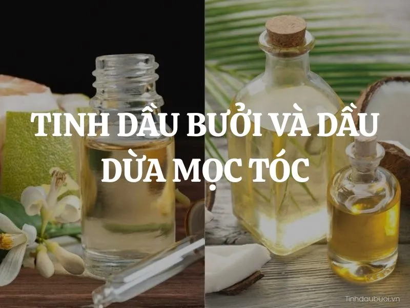 Sử dụng các nguyên liệu tự nhiên giúp phục hồi mái tóc sau khi nhuộm