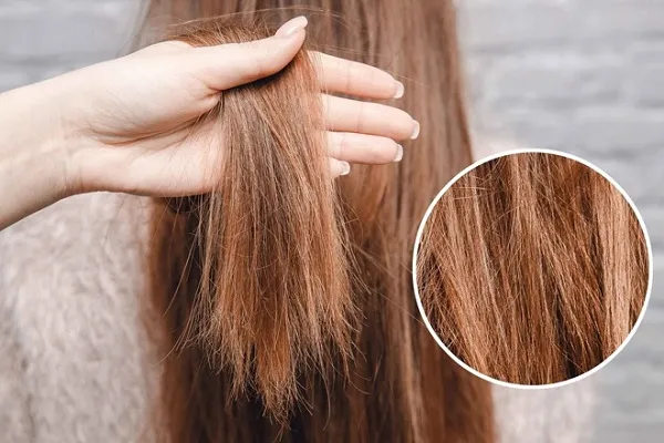 Sự khác biệt rõ rệt giữa ngọn tóc hư tổn và ngọn tóc được cắt tỉa định kỳ