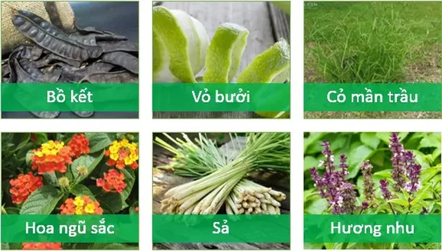 toc-moc-day-hon-suon-muot-sach-gau-voi-cong-thuc-nuoc-goi-dau-thao-duoc-tu-chuyen-gia-3-1572677944171 Kết hợp cỏ mần trầu với các thảo dược khác để tối ưu hóa hiệu quả dưỡng tóc