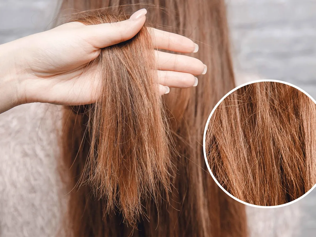 Biểu hiện lâm sàng của mái tóc sau khi chịu tác động tiêu cực từ môi trường kiềm quá mức
